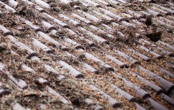 Bishop Norton roof cleaning companies