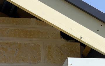 soffit repair Bishop Norton